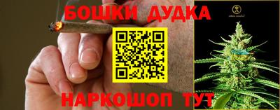 стаф Ставрополь