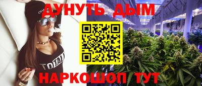 стаф Ставрополь