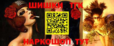 стаф Ставрополь