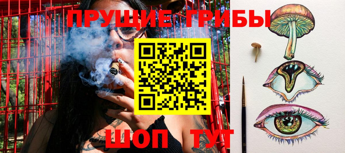 Галлюциногенные грибы мицелий Асбест